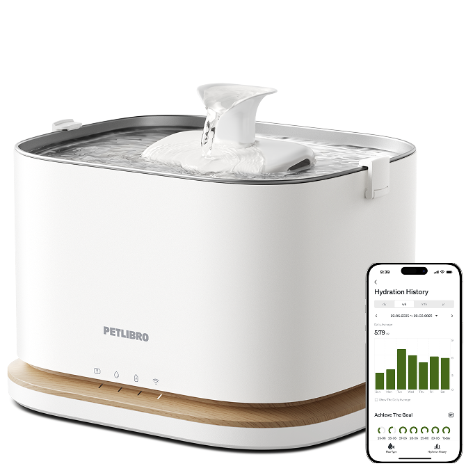 Dockstream 2 Smart Fountain CA